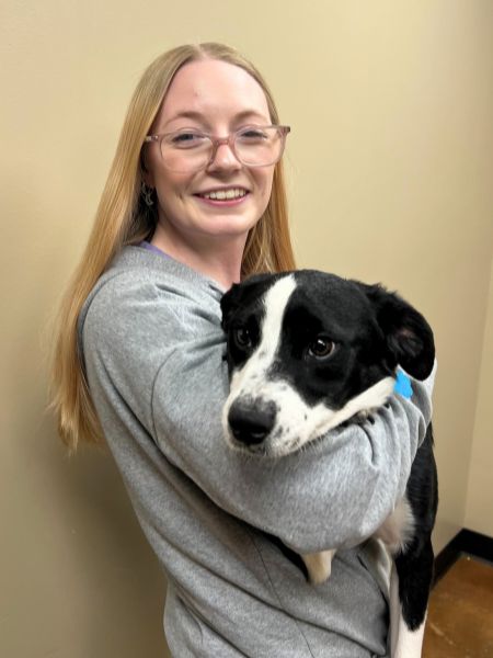 Journey holding a dog