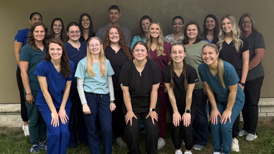 Cows Standing in a field with cool clouds