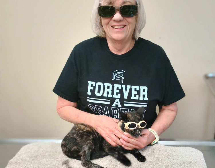 Cat cared by the owner wearing sun glass