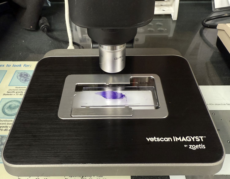 Diagnostics instrument