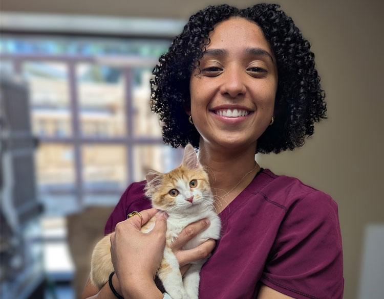 Lady carrying a brown and white cute cat