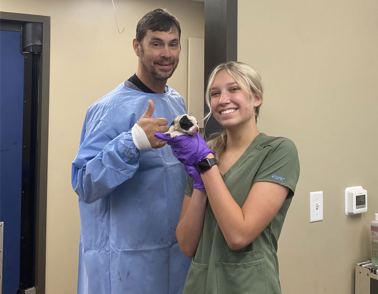 Puppy with the vets in the clinic