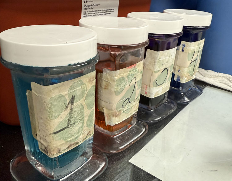 Disgnostics pet food